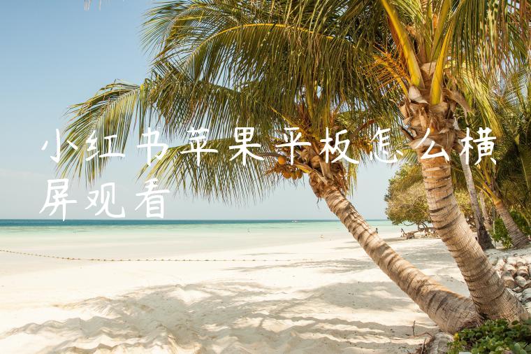 小红书苹果平板怎么横屏观看 小红书苹果平板怎么横屏观看