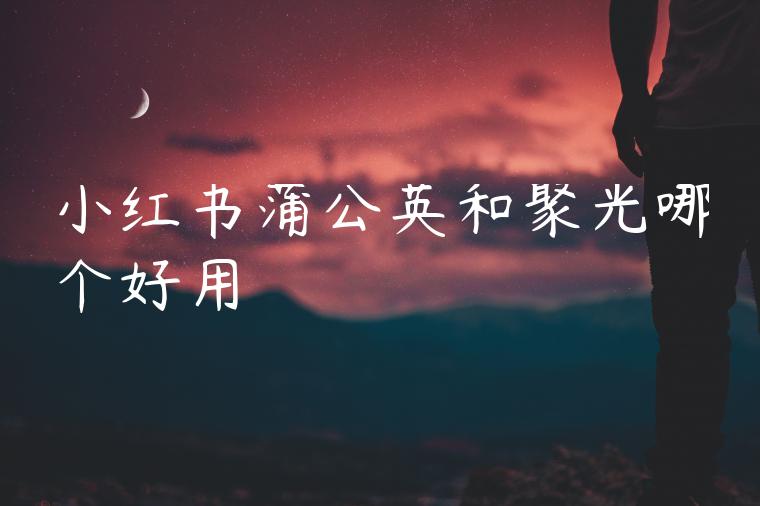 小红书蒲公英和聚光哪个好用 小红书蒲公英和聚光哪个好用