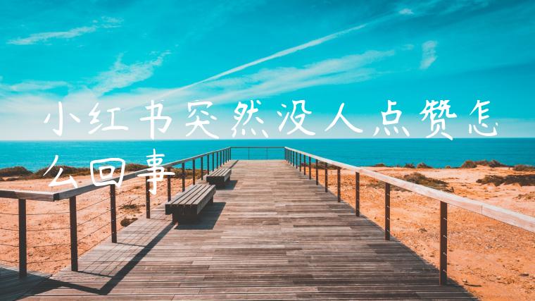 小红书突然没人点赞怎么回事 小红书突然没人点赞怎么回事