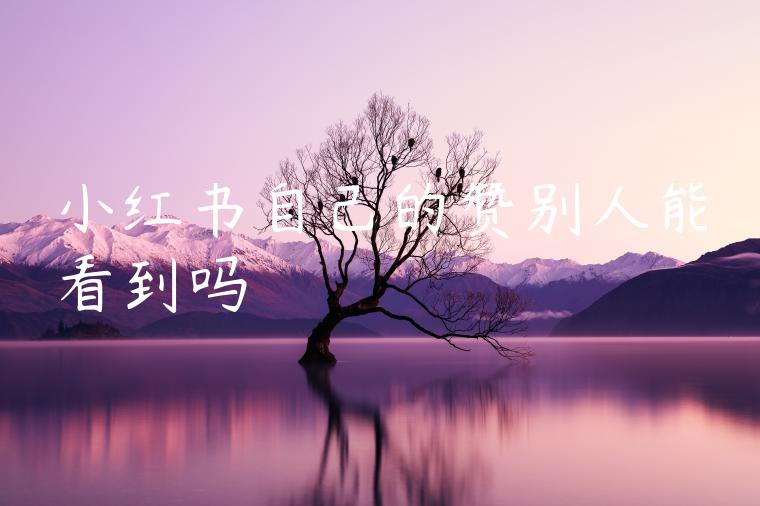 小红书自己的赞别人能看到吗 小红书自己的赞别人能看到吗