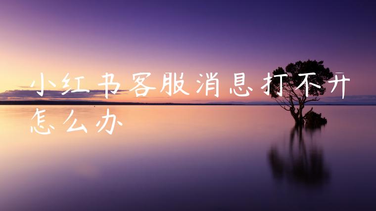 小红书客服消息打不开怎么办