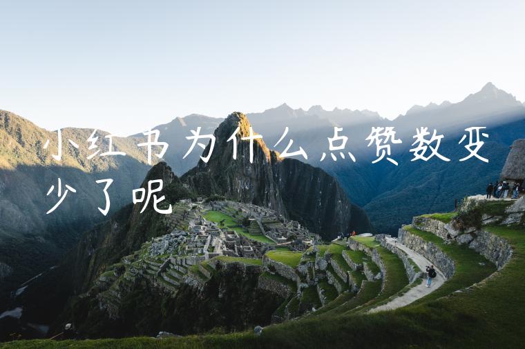 小红书为什么点赞数变少了呢