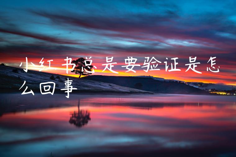 小红书总是要验证是怎么回事