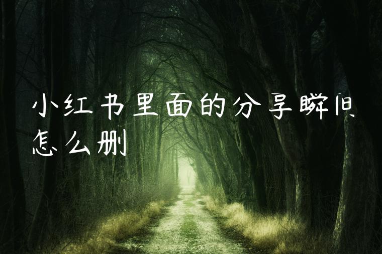 小红书里面的分享瞬间怎么删