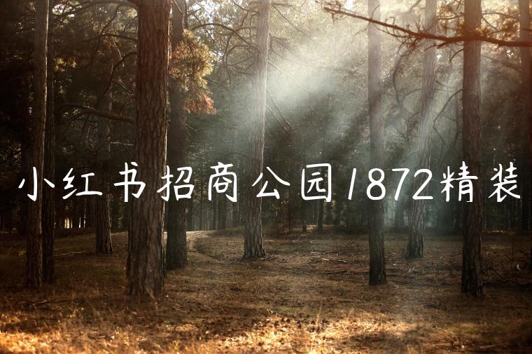 小红书招商公园1872精装