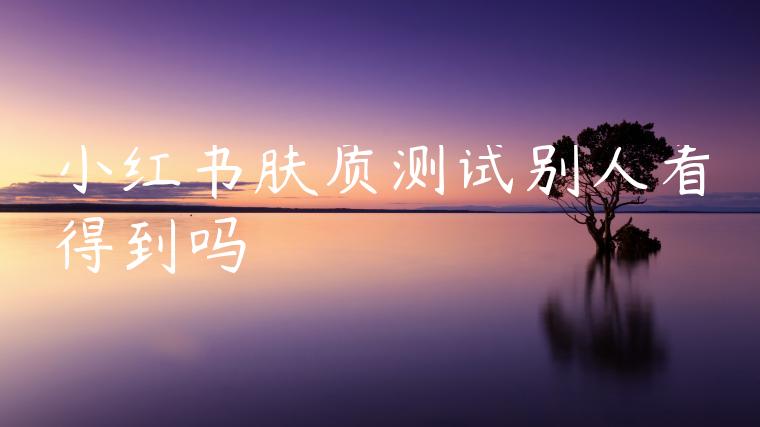 小红书肤质测试别人看得到吗