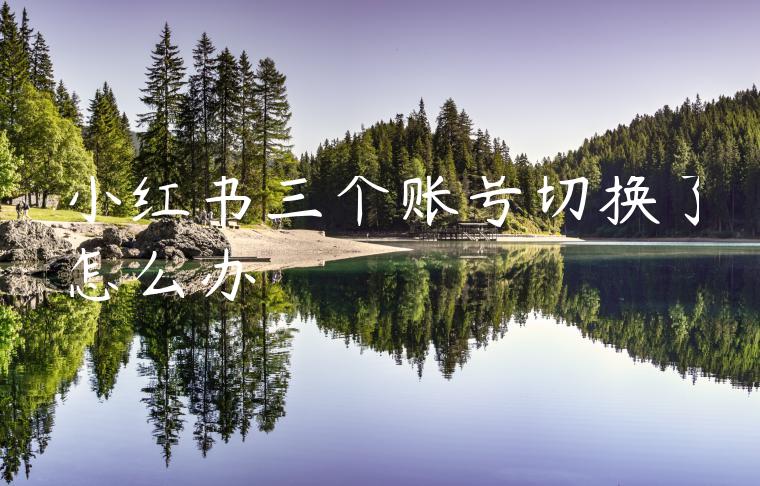 小红书三个账号切换了怎么办