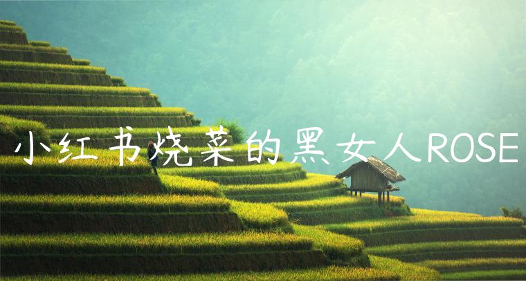 小红书烧菜的黑女人ROSE 小红书烧菜的黑女人ROSE