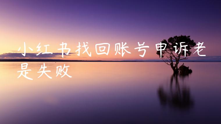 小红书找回账号申诉老是失败 小红书找回账号申诉老是失败