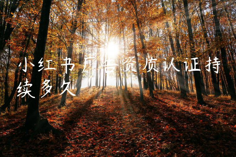 小红书广告资质认证持续多久 小红书广告资质认证持续多久