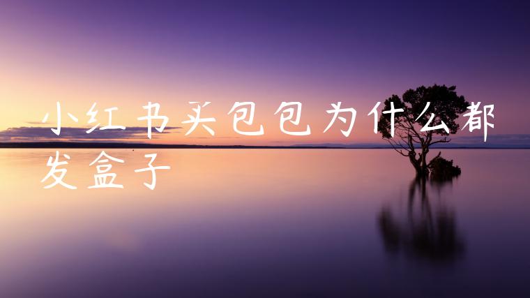 小红书买包包为什么都发盒子 小红书买包包为什么都发盒子