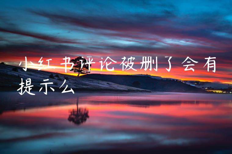 小红书评论被删了会有提示么