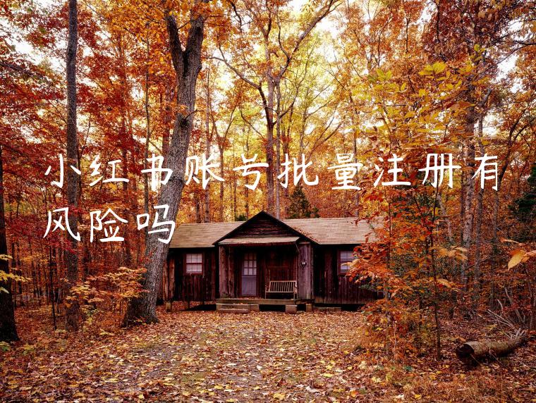 小红书账号批量注册有风险吗 小红书账号批量注册有风险吗