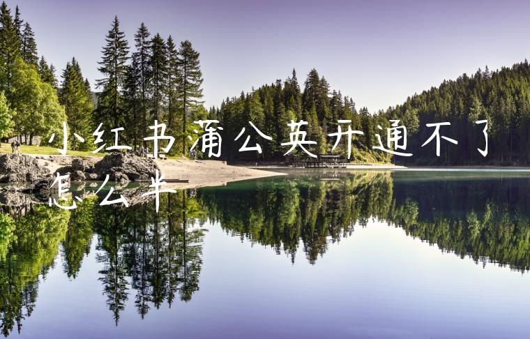 小红书蒲公英开通不了怎么半 小红书蒲公英开通不了怎么半