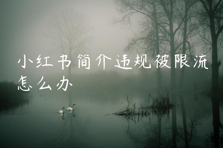 小红书简介违规被限流怎么办 小红书简介违规被限流怎么办