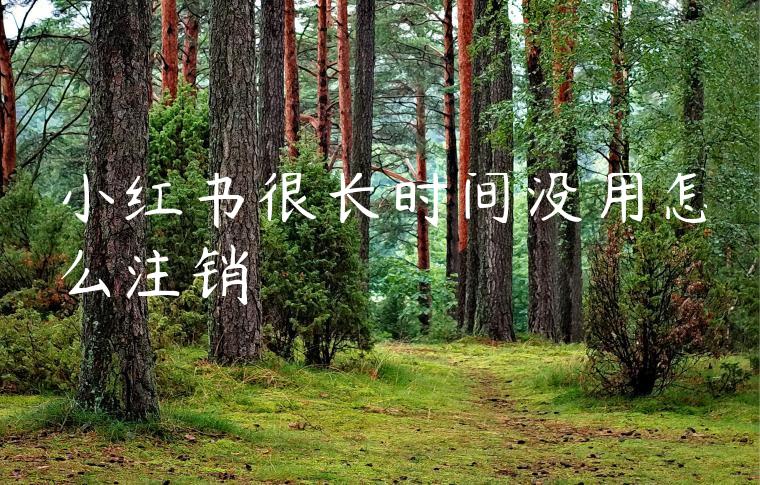 小红书很长时间没用怎么注销