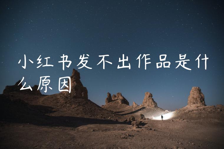 小红书发不出作品是什么原因 小红书发不出作品是什么原因