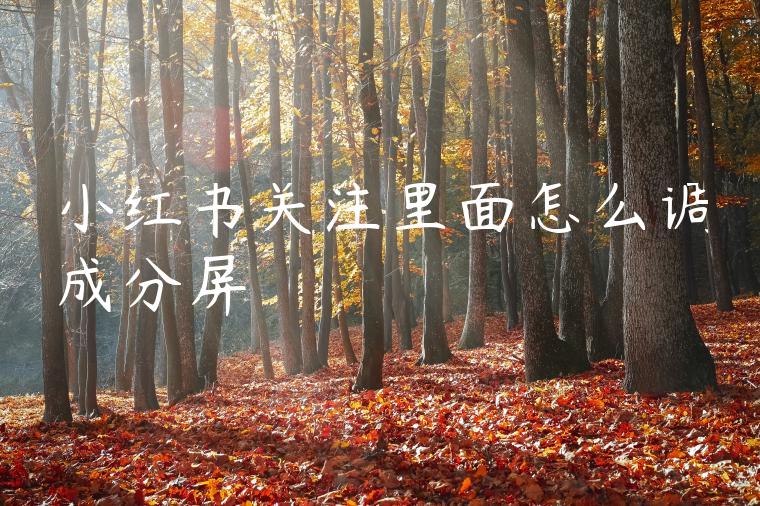 小红书关注里面怎么调成分屏 小红书关注里面怎么调成分屏