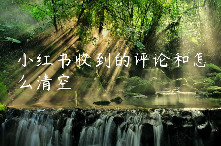 小红书收到的评论和怎么清空 小红书收到的评论和怎么清空