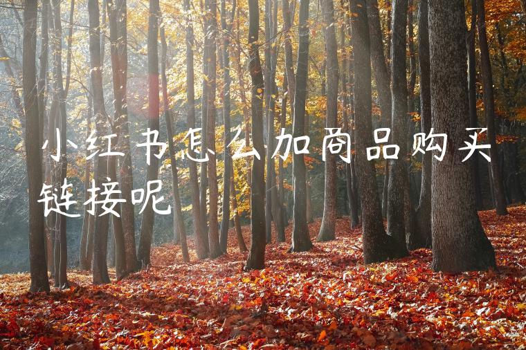 小红书怎么加商品购买链接呢