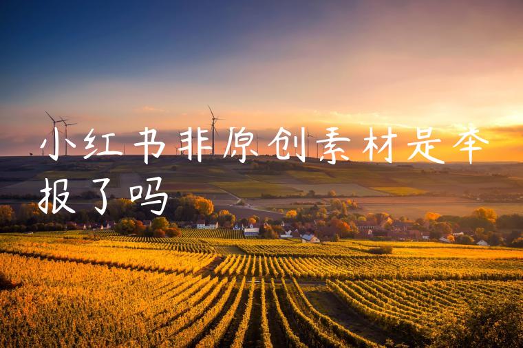 小红书非原创素材是举报了吗