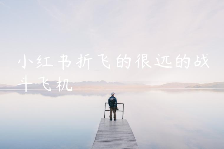 小红书折飞的很远的战斗飞机