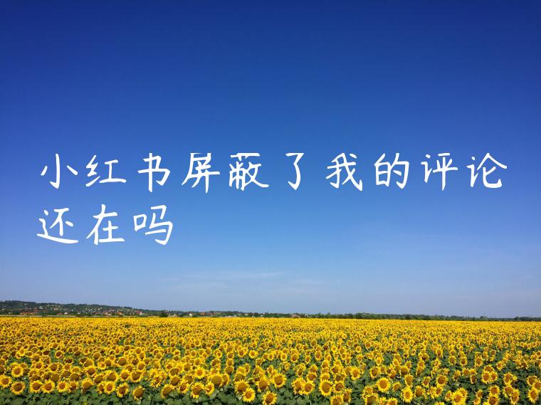 小红书屏蔽了我的评论还在吗