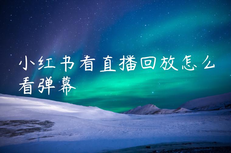 小红书看直播回放怎么看弹幕 小红书看直播回放怎么看弹幕