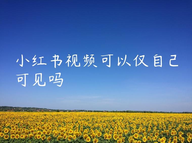 小红书视频可以仅自己可见吗