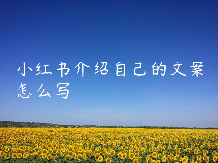 小红书介绍自己的文案怎么写
