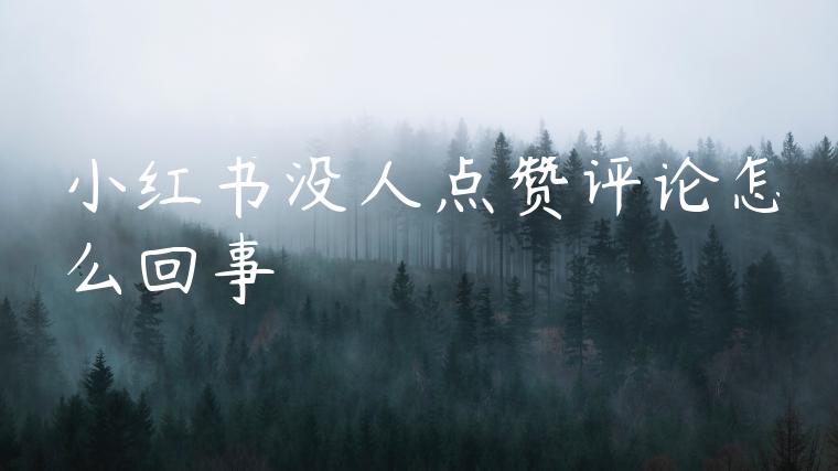 小红书没人点赞评论怎么回事 小红书没人点赞评论怎么回事