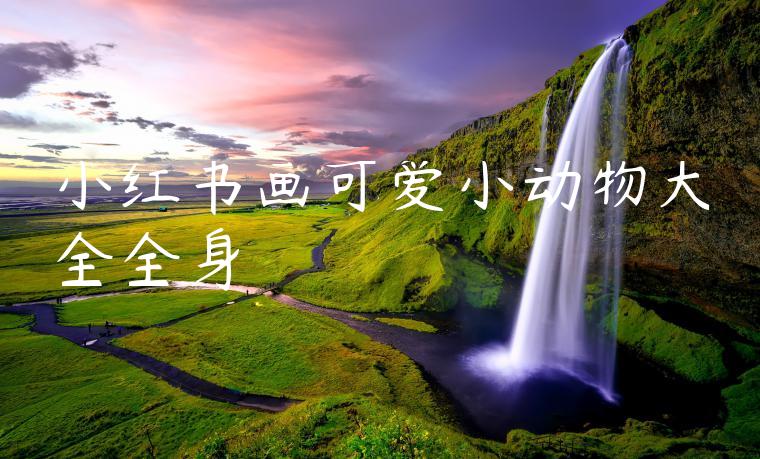 小红书画可爱小动物大全全身