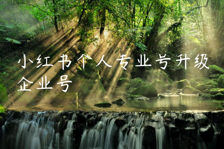 小红书个人专业号升级企业号 小红书个人专业号升级企业号