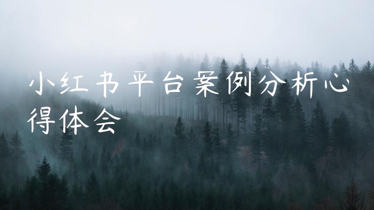 小红书平台案例分析心得体会