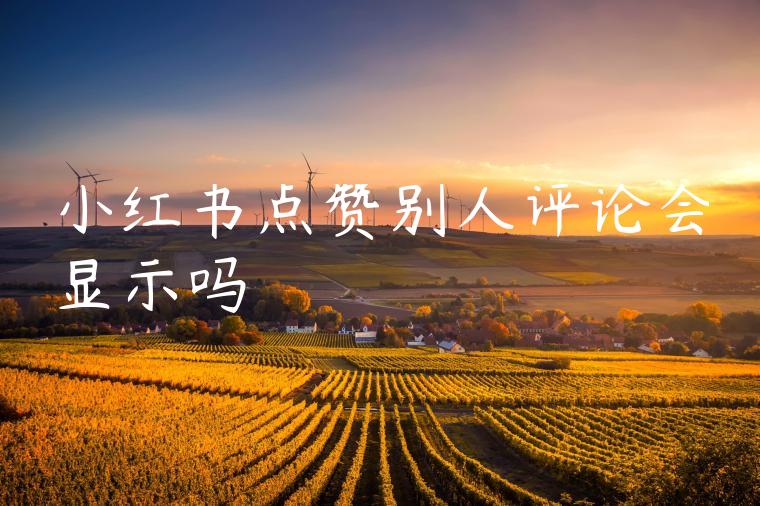 小红书点赞别人评论会显示吗