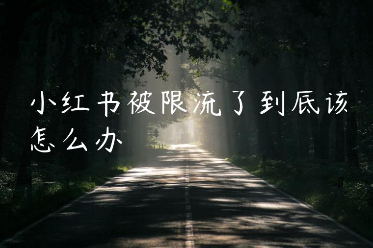 小红书被限流了到底该怎么办 小红书被限流了到底该怎么办