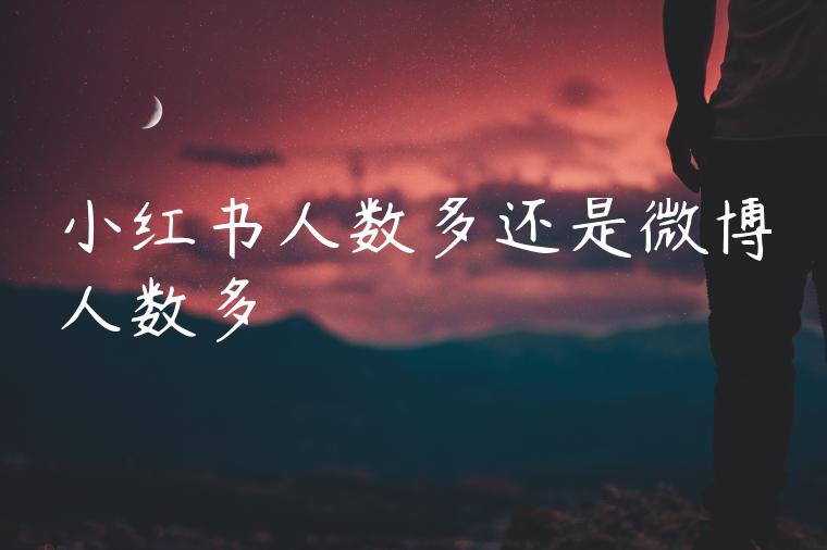 小红书人数多还是微博人数多