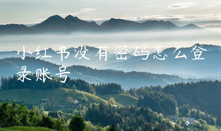 小红书没有密码怎么登录账号 小红书没有密码怎么登录账号