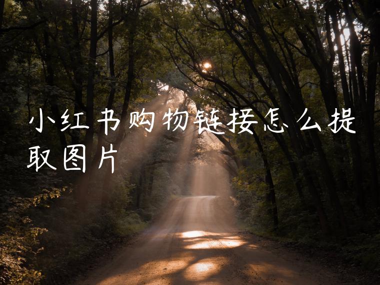 小红书购物链接怎么提取图片 小红书购物链接怎么提取图片