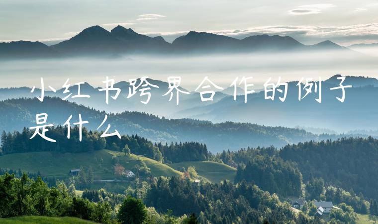 小红书跨界合作的例子是什么