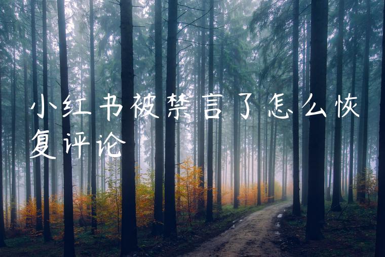 小红书被禁言了怎么恢复评论 小红书被禁言了怎么恢复评论