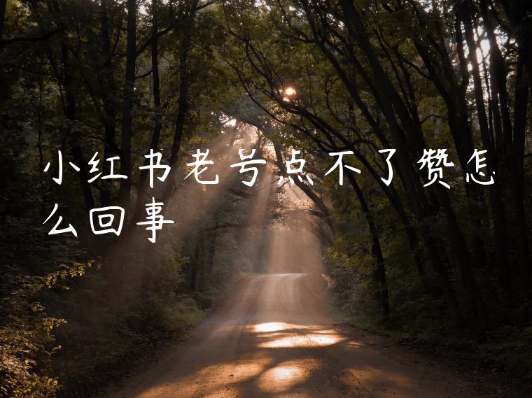 小红书老号点不了赞怎么回事 小红书老号点不了赞怎么回事