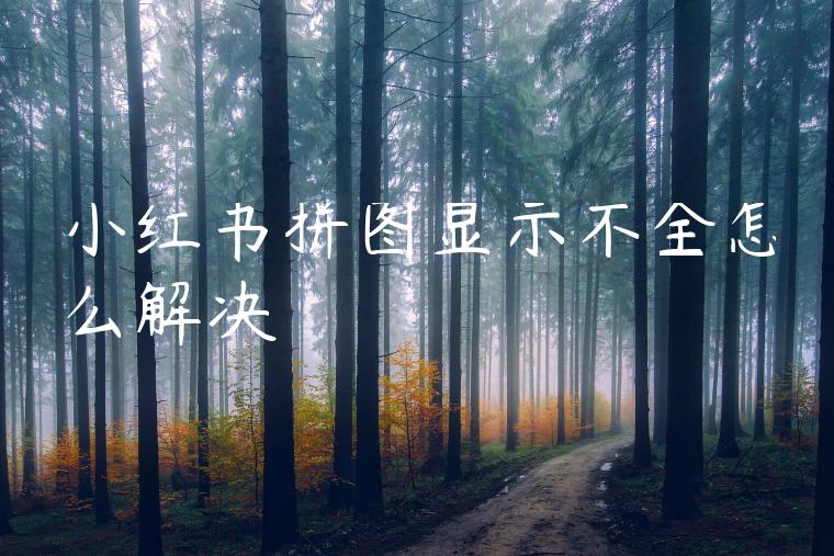 小红书拼图显示不全怎么解决