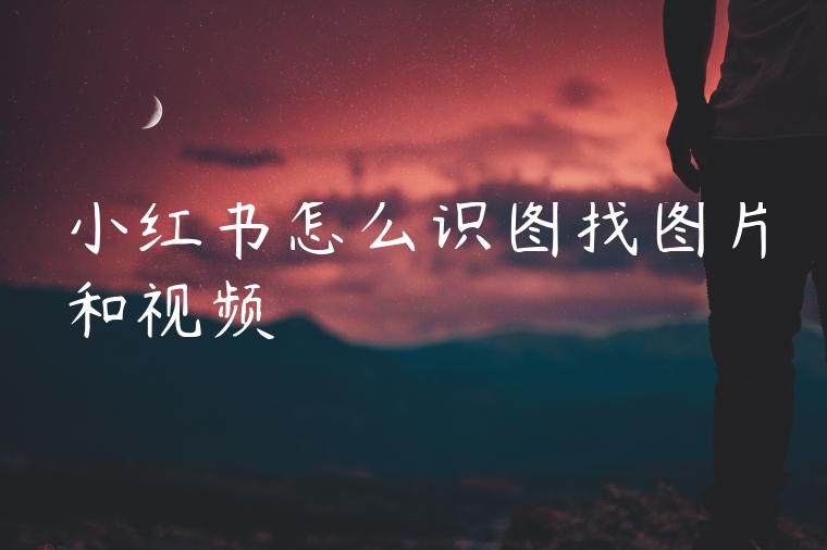小红书怎么识图找图片和视频 小红书怎么识图找图片和视频