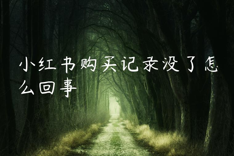小红书购买记录没了怎么回事 小红书购买记录没了怎么回事