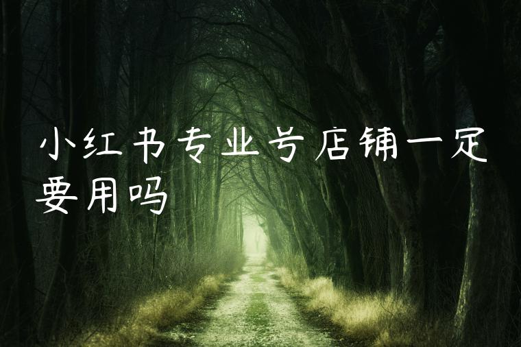 小红书专业号店铺一定要用吗 小红书专业号店铺一定要用吗