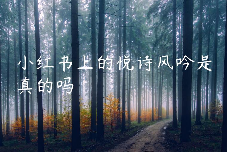 小红书上的悦诗风吟是真的吗