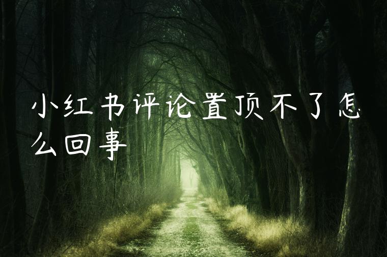 小红书评论置顶不了怎么回事 小红书评论置顶不了怎么回事