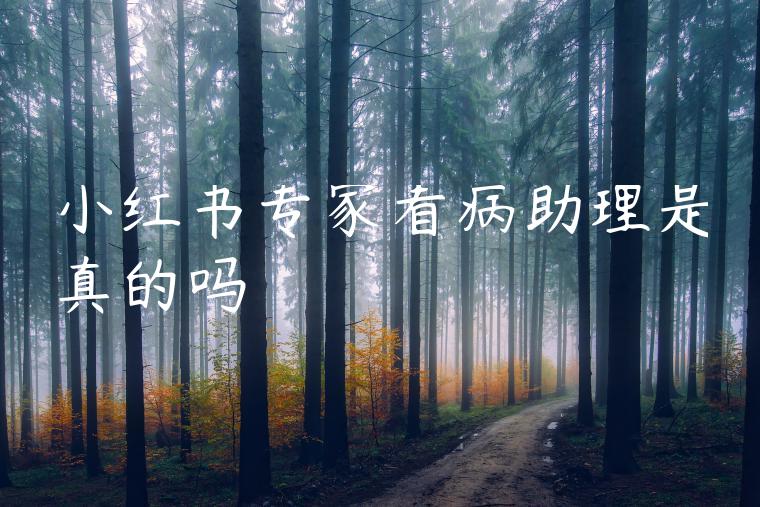 小红书专家看病助理是真的吗