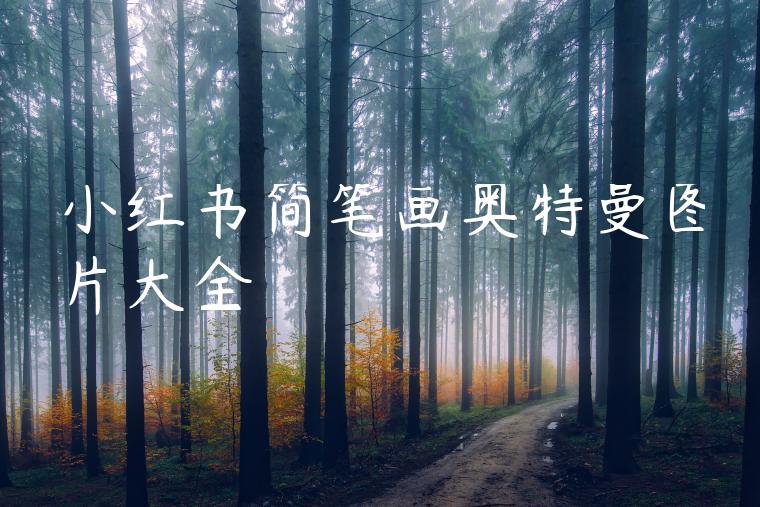 小红书简笔画奥特曼图片大全 小红书简笔画奥特曼图片大全